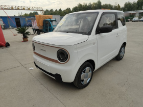 吉利银河 2024款 熊猫mini 200km 耐力熊