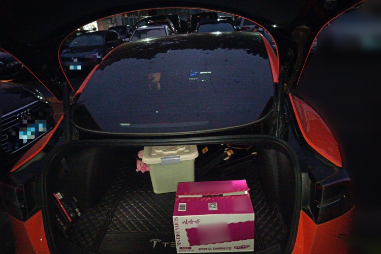 特斯拉 Model 3 2021款 标准续航后驱升级版局部细节23