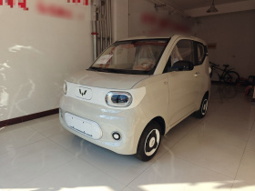 五菱汽车 宏光MINIEV 2024款 第三代 215km 青春版