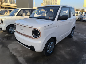 吉利银河 2024款 熊猫mini 200km 耐力熊