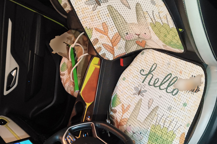 思皓 2022款 花仙子款 满天星中控内饰19