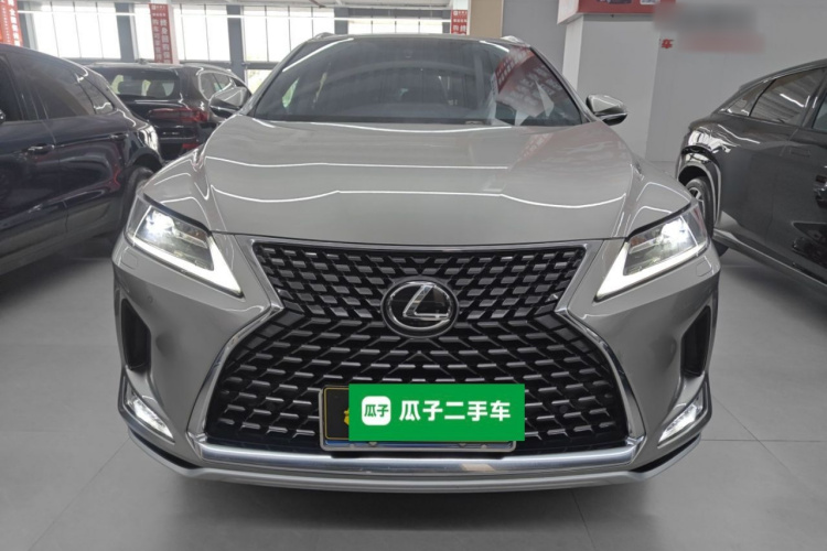 雷克萨斯RX 2020款 改款 300 两驱精英版车身外观2
