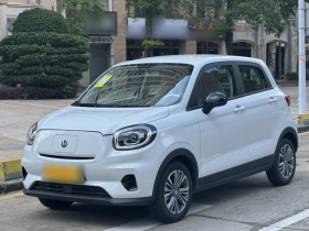 零跑汽车 零跑T03 2024款 310舒享版