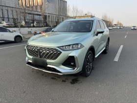 魏牌 拿铁DHT 2022款 1.5T DHT超大杯