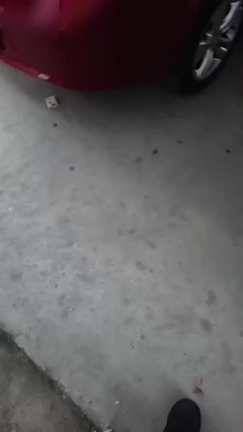 五菱汽车 五菱宏光 2020款 1.2L S基本型国VI LSI讲解2