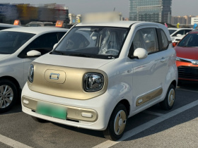 奔腾小马 2026款 222km 闪耀马