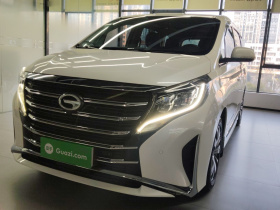 广汽传祺 传祺M8 2020款 领航款 390T 尊贵版