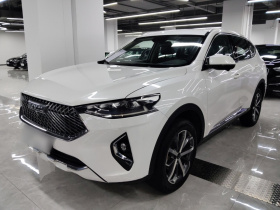 哈弗F7 2021款 1.5T 两驱i炫