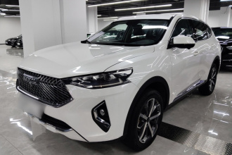 哈弗F7 2021款 1.5T 两驱i炫