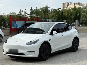 特斯拉 Model Y 2021款 长续航全轮驱动版 3D7
