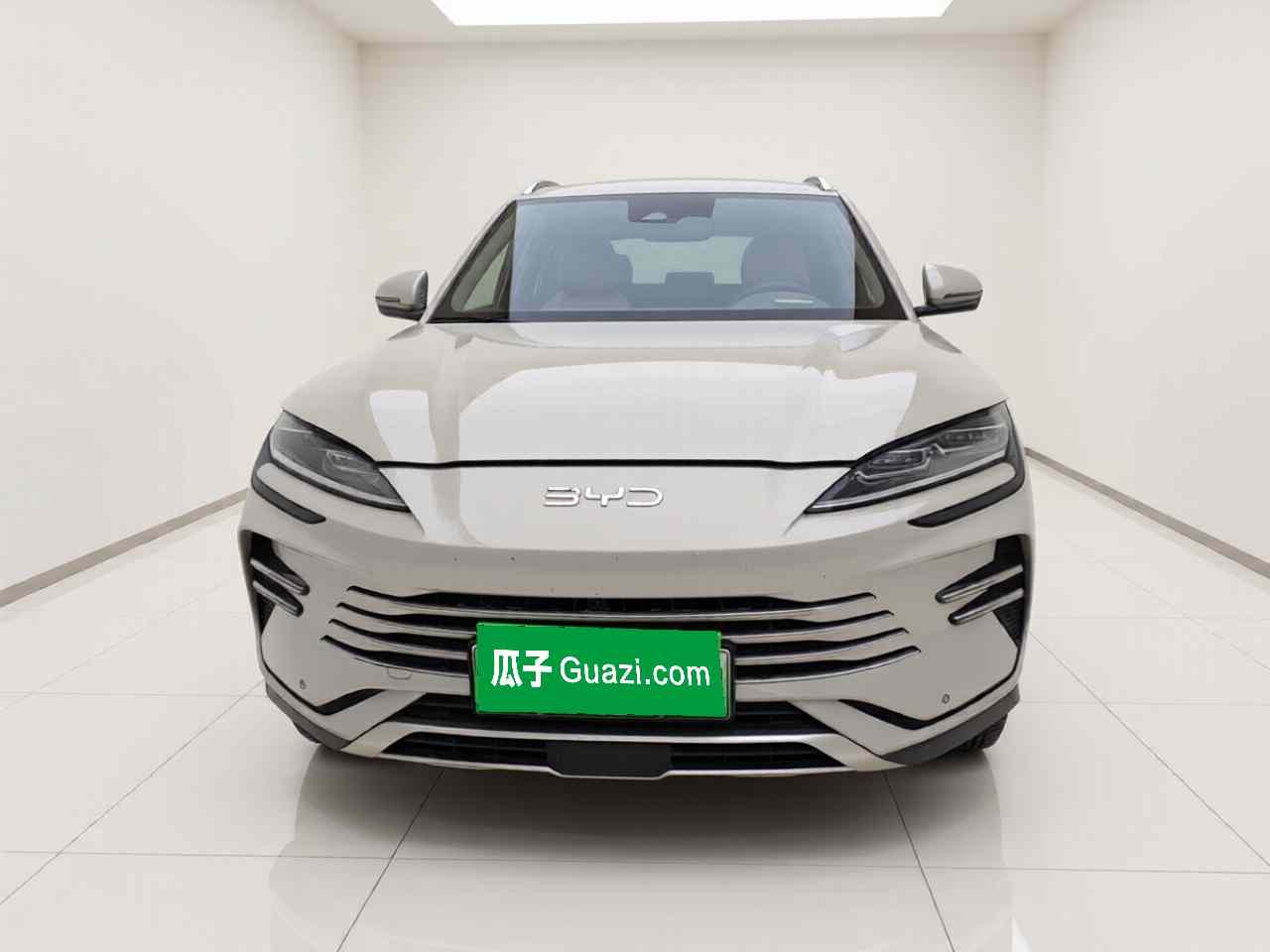 比亚迪 宋PLUS新能源 2025款 DM-i 112KM 尊荣型(1)
