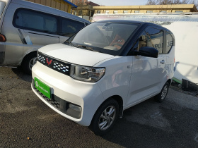 五菱汽车 宏光MINIEV 2020款 自在款 磷酸铁锂