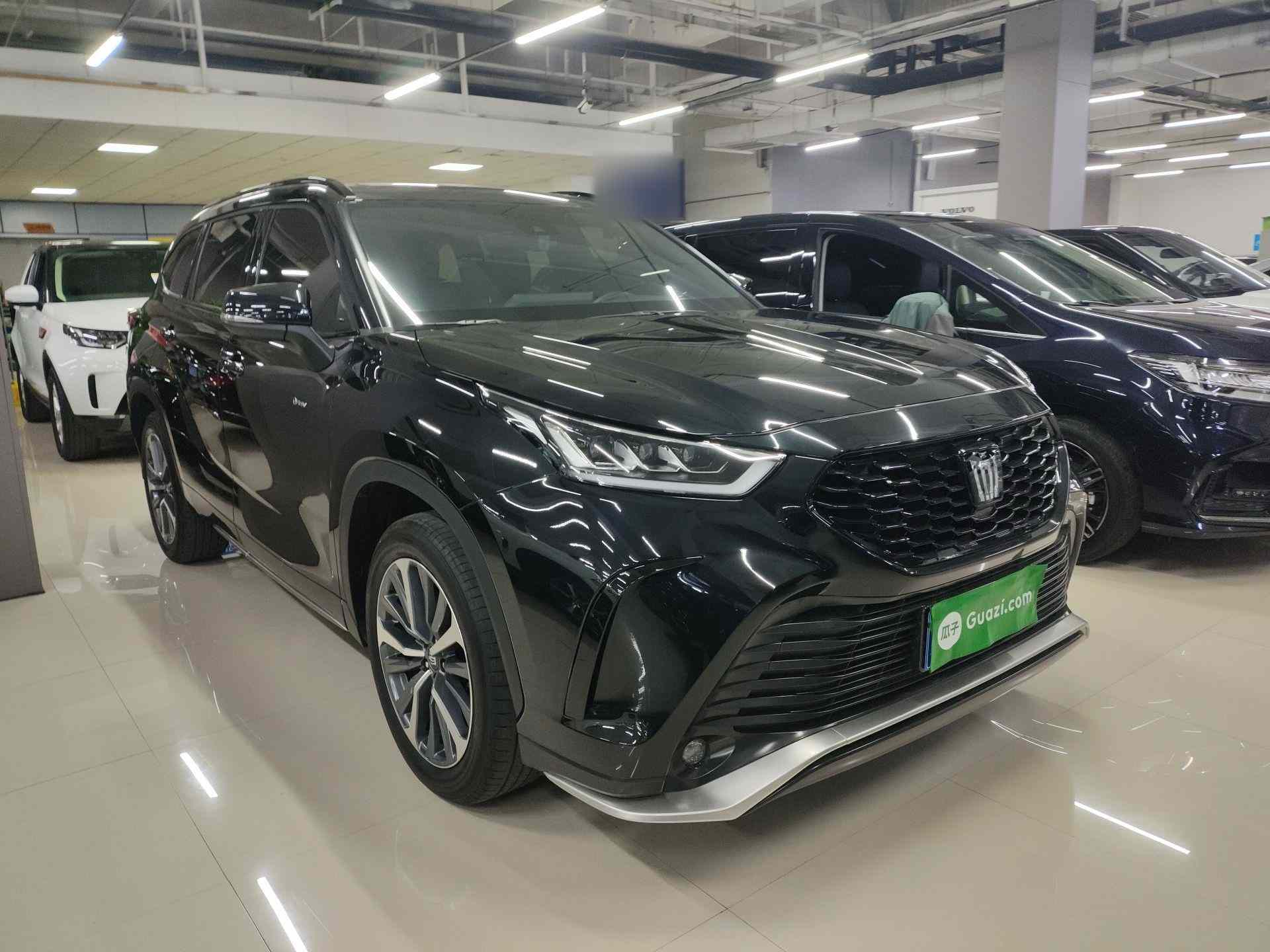 丰田 皇冠陆放 2024款 2.5L HEV四驱豪华版(5)