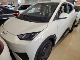 比亚迪 海鸥 2025款 智驾版 305km 活力版