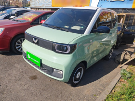 五菱汽车 宏光MINIEV 2021款 马卡龙臻享款 磷酸铁锂