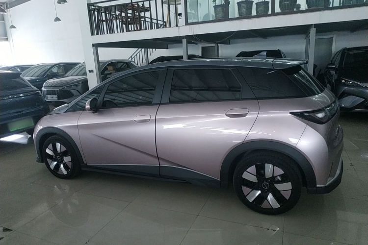 比亚迪 海豚 2021款 401km 骑士版车身外观6003