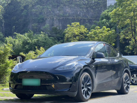 特斯拉 Model Y 2022款 长续航全轮驱动版