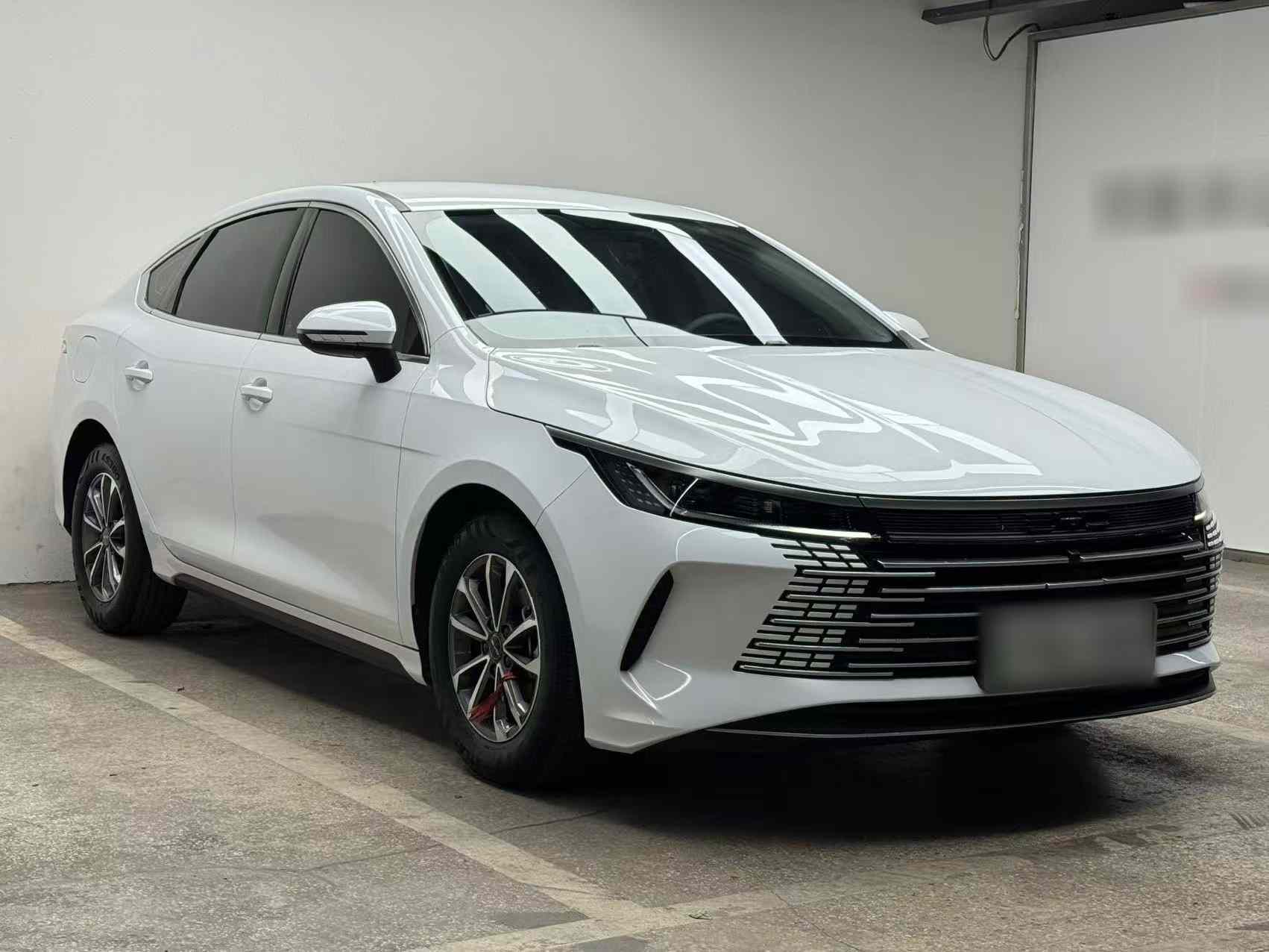 比亚迪 驱逐舰05 2024款 荣耀版 DM-i 55KM 豪华型(5)