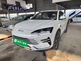 比亚迪 宋PLUS新能源 2025款 DM-i 智驾版 112KM 尊荣型