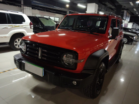 坦克300 2021款 越野版 2.0T 征服者