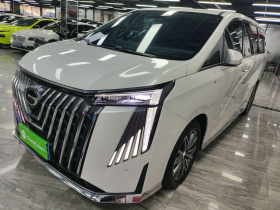 广汽传祺 传祺M8 2024款 大师系列 400T 尊贵版