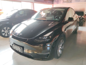 特斯拉 Model Y 2021款 长续航全轮驱动版