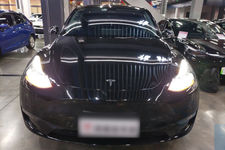 特斯拉 Model Y 2021款 标准续航后驱版车身外观6001