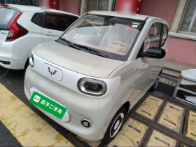 五菱汽车 宏光MINIEV 2024款 第三代 215km 青春版