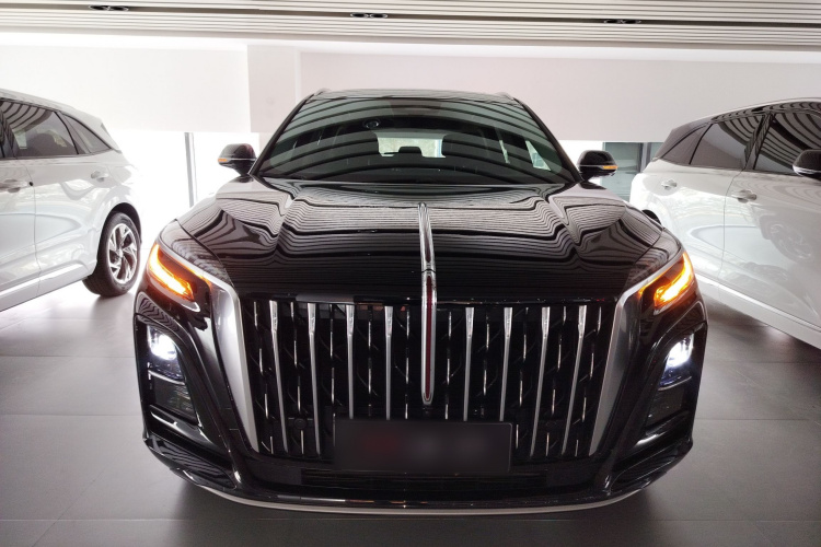 红旗HS3 PHEV 2024款 PHEV 115km 劲为版车身外观2