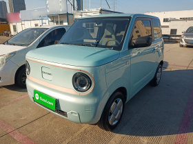 吉利银河 2024款 熊猫mini 200km 耐力熊