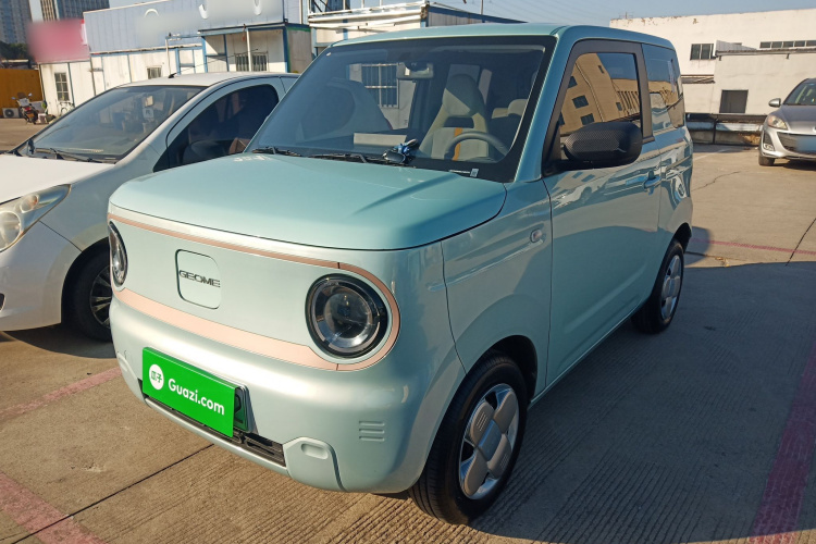 吉利银河 2024款 熊猫mini 200km 耐力熊车身外观1