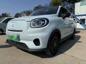 零跑汽车 零跑T03 2023款 310轻享版