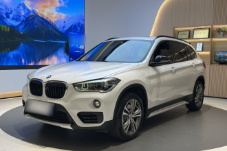 宝马X1 2019款 xDrive20Li 尊享型