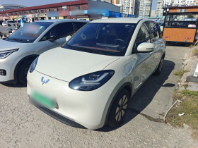 五菱汽车 五菱缤果 2024款 333km 悦享款