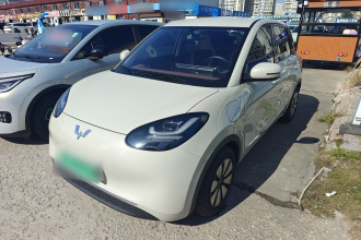 五菱汽车 五菱缤果 2024款 333km 悦享款