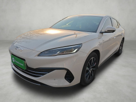 比亚迪 海豹06新能源 2024款 DM-i 80KM尊贵型