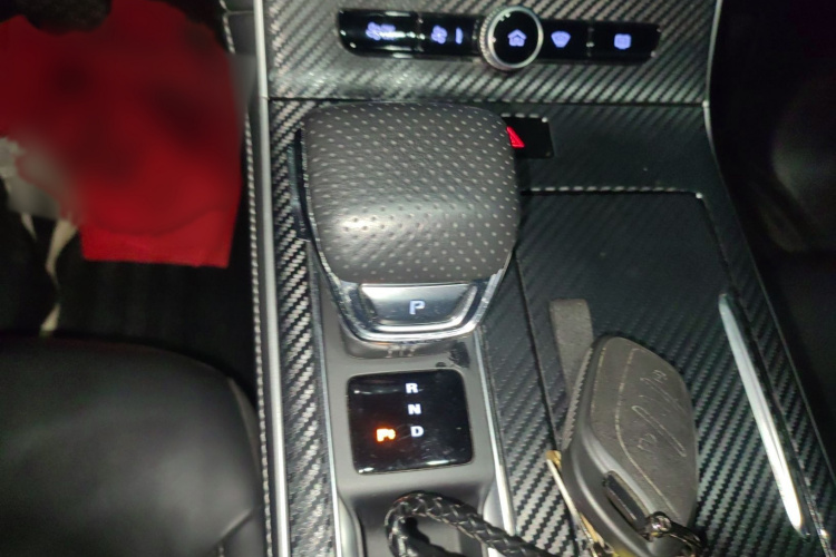 飞凡汽车 飞凡ER6 2021款 新动版 520km 智领版局部细节18