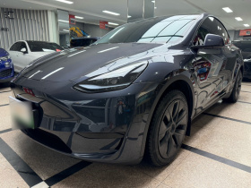 特斯拉 Model Y 2024款 后轮驱动版