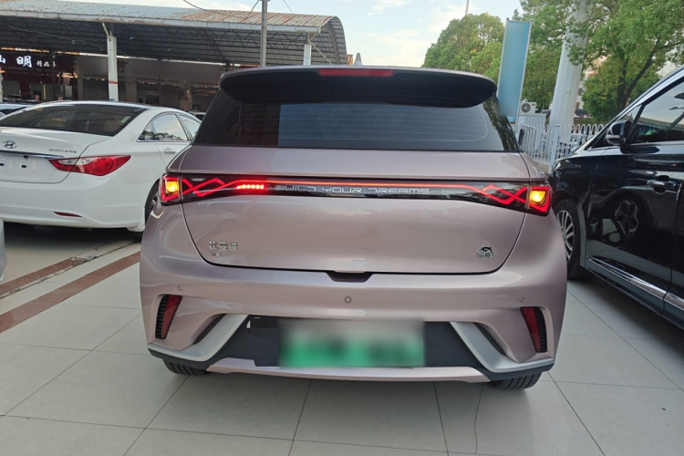 比亚迪 海豚 2021款 405km 时尚版车身外观6004