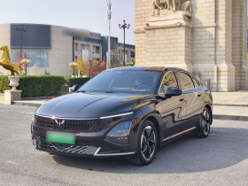 五菱汽车 五菱星光 2023款 150 进阶版