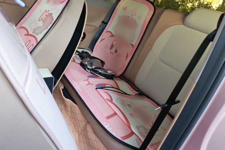 吉利银河 2023款 熊猫mini 200km 耐力熊中控内饰21