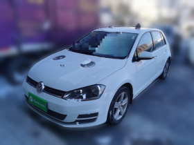 大众 高尔夫 2015款 1.6L 自动时尚型