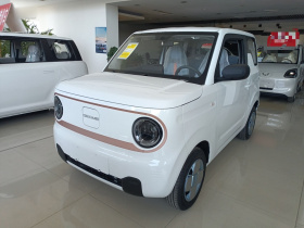 吉利银河 2024款 熊猫mini 200km 耐力熊