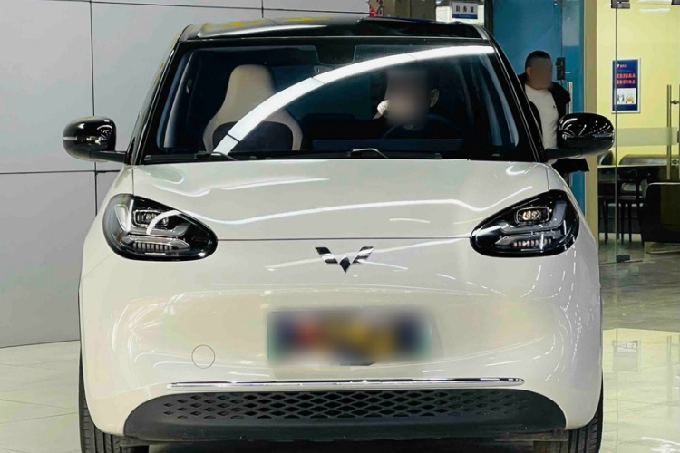 五菱汽车 五菱缤果 2023款 410km 灵犀尊享款车身外观6004