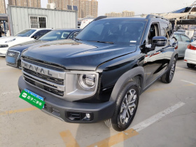 哈弗大狗 2024款 1.5T DCT边牧版