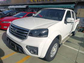 长城 风骏5 2017款 2.4L欧洲版汽油两驱进取型大双排4G69S4N