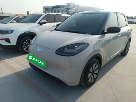 五菱汽车 五菱缤果 2023款 333km 灵犀互联+款