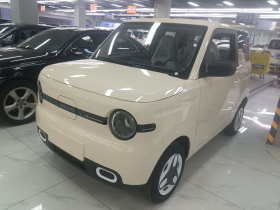 吉利银河 熊猫 2025款 210km 元气熊