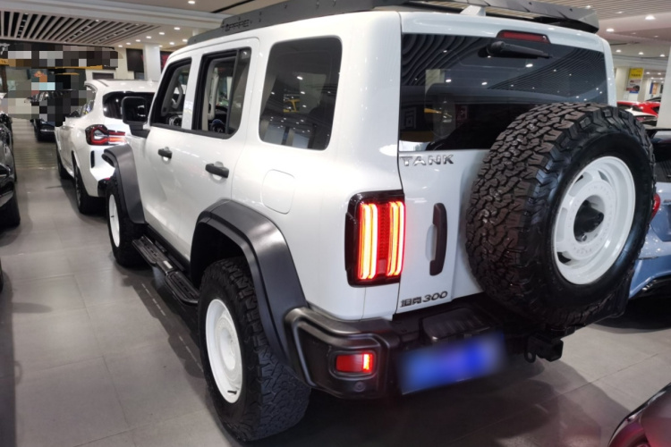 坦克300 2023款 2.0T 铁骑02车身外观4