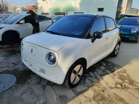 欧拉黑猫 2022款 改款 301km 萌宠版 磷酸铁锂